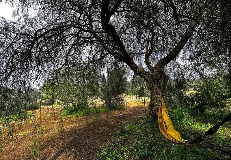 Salento Home Farm Bagnolo del Salento Экстерьер фото